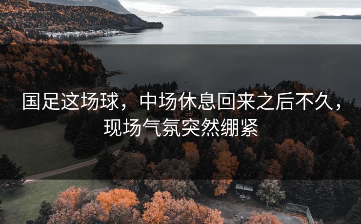 国足这场球，中场休息回来之后不久，现场气氛突然绷紧  第1张