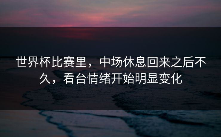 世界杯比赛里，中场休息回来之后不久，看台情绪开始明显变化